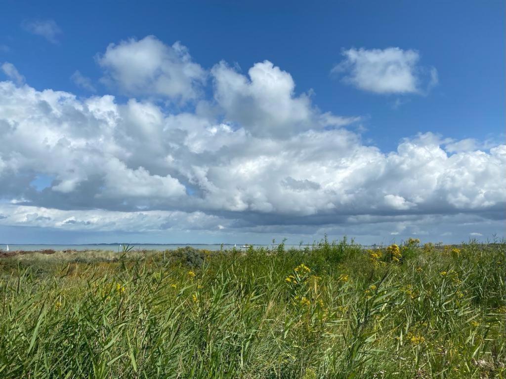 فيلا Natuurhuis Zeeuwse Rust Voor Wandelingen Aan Zee, Fietstochten In Natuur En Culinair Genieten IJzendijke المظهر الخارجي الصورة