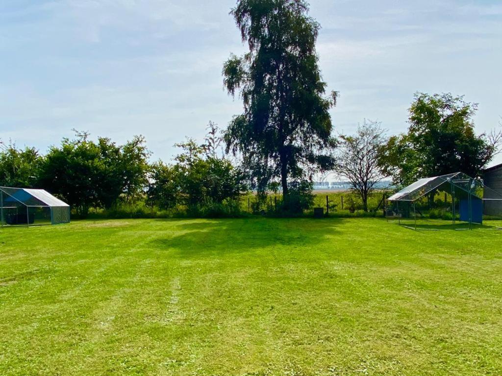 فيلا Natuurhuis Zeeuwse Rust Voor Wandelingen Aan Zee, Fietstochten In Natuur En Culinair Genieten IJzendijke المظهر الخارجي الصورة