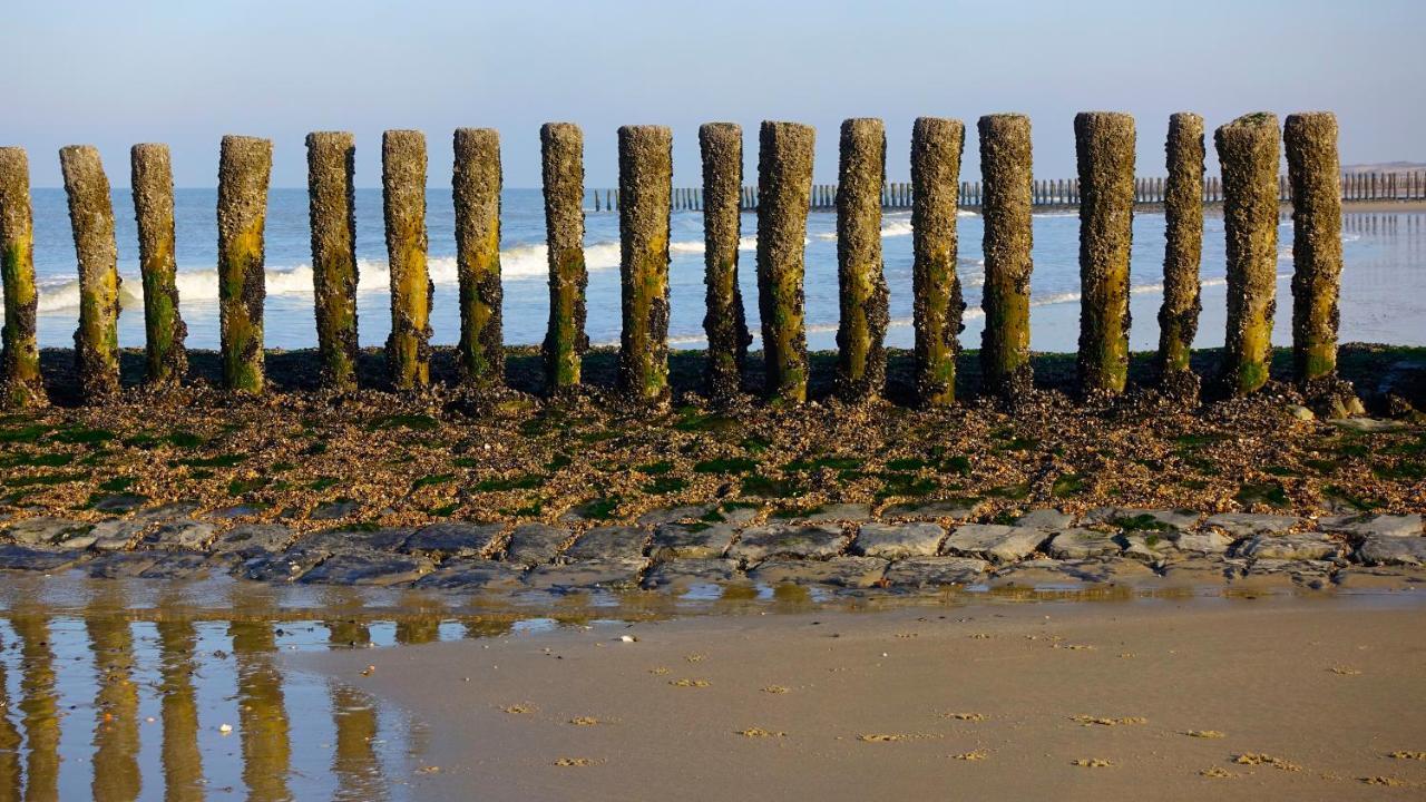 فيلا Natuurhuis Zeeuwse Rust Voor Wandelingen Aan Zee, Fietstochten In Natuur En Culinair Genieten IJzendijke المظهر الخارجي الصورة